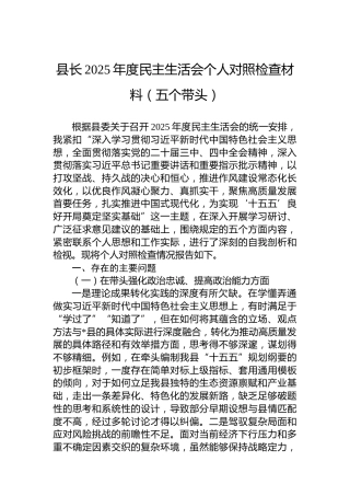 县长2025年度民主生活会个人对照检查材料（五个带头）