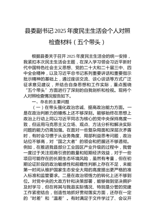 县委副书记2025年度民主生活会个人对照检查材料（五个带头）