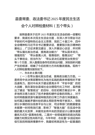 县委常委、政法委书记2025年度民主生活会个人对照检查材料（五个带头）
