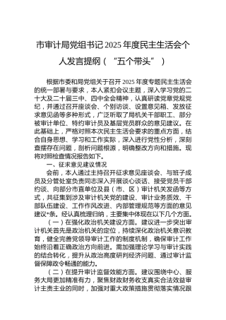 市审计局党组书记2025年度民主生活会个人发言提纲（“五个带头”）