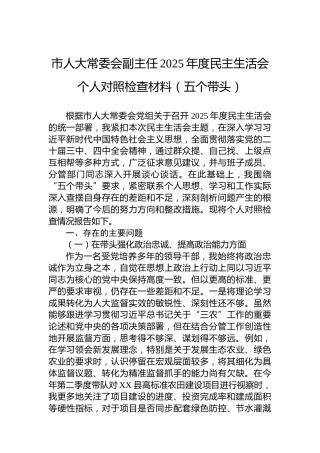 市人大常委会副主任2025年度民主生活会个人对照检查材料（五个带头）