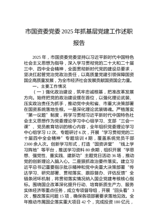 市国资委党委2025年抓基层党建工作述职报告