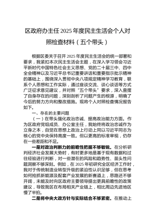 区政府办主任2025年度民主生活会个人对照检查材料（五个带头）