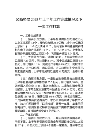 区商务局2025年上半年工作完成情况及下一步工作打算