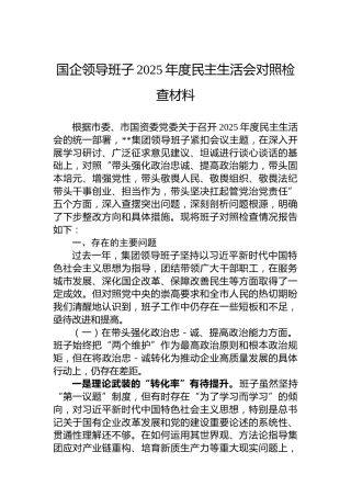 国企领导班子2025年度民主生活会对照检查材料