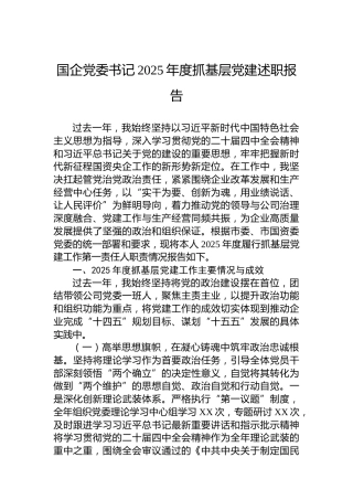 国企党委书记2025年度抓基层党建述职报告