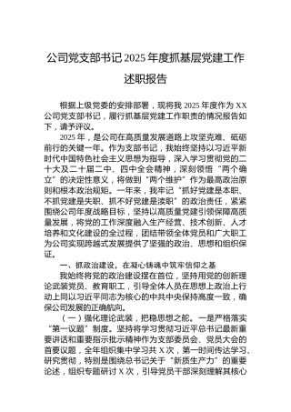 公司党支部书记2025年度抓基层党建工作述职报告