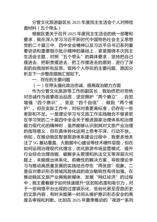 分管文化旅游副区长2025年度民主生活会个人对照检查材料（五个带头）