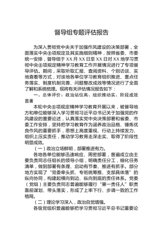 督导组专题评估报告