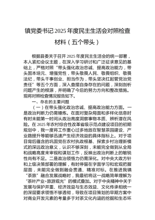 镇党委书记2025年度民主生活会对照检查材料（五个带头）