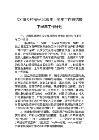 XX镇乡村振兴2025年上半年工作总结暨下半年工作计划
