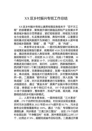 XX区乡村振兴专班工作总结