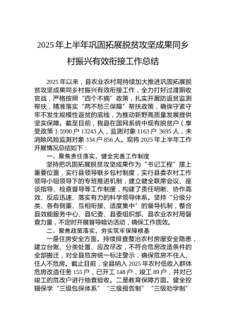 2025年上半年巩固拓展脱贫攻坚成果同乡村振兴有效衔接工作总结