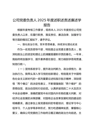 公司党委负责人2025年度述职述责述廉述学报告