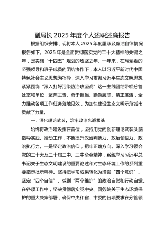 副局长2025年度个人述职述廉报告