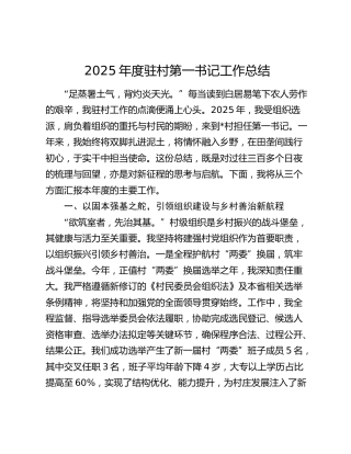 2025年度驻村第一书记工作总结