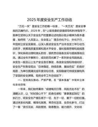 2025年度安全生产工作总结