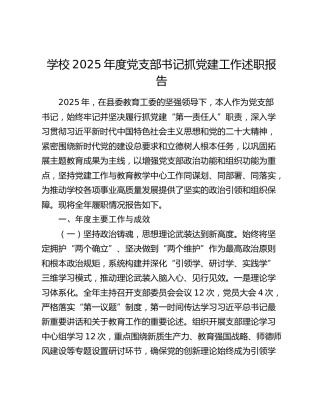 学校2025年度党支部书记抓党建工作述职报告