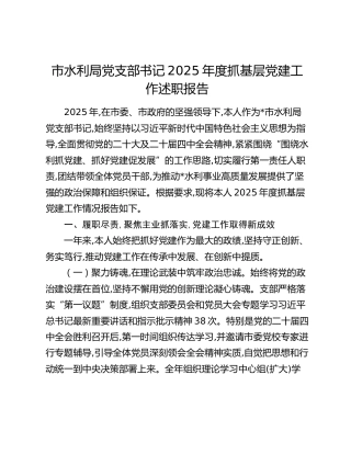 市水利局党支部书记2025年度抓基层党建工作述职报告