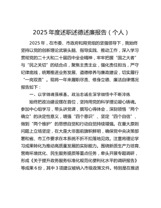 2025年度述职述德述廉报告（个人）