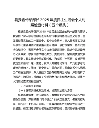 县委宣传部部长2025年度民主生活会个人对照检查材料
