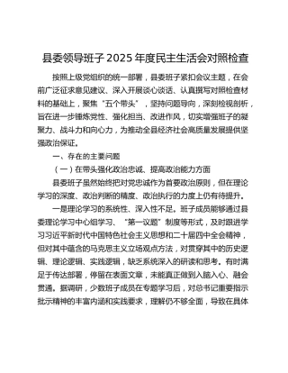 县委领导班子2025年度民主生活会对照检查