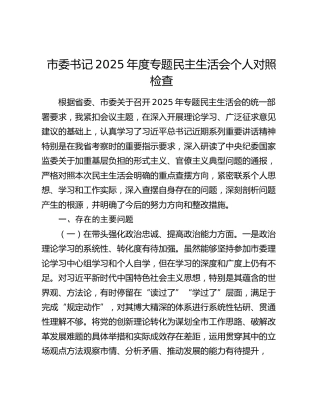 市委书记2025年度专题民主生活会个人对照检查