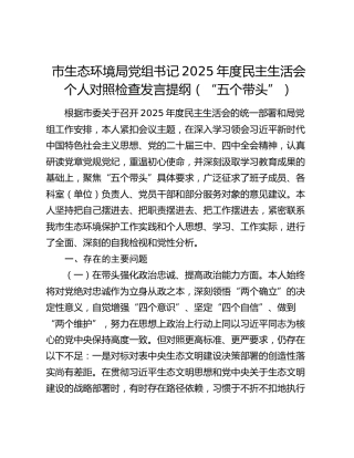 市生态环境局党组书记2025年度民主生活会个人对照检查