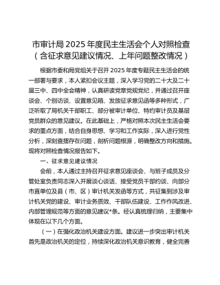 市审计局2025年度民主生活会个人对照检查（含征求意见建议情况、上年问题整改情况）