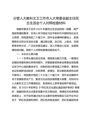 市人大副主任2025年度民主生活会个人对照检查2