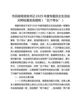 市民政局党组书记2025年度专题民主生活会对照检查