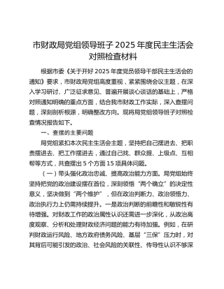 市财政局领导班子2025年度民主生活会对照检查