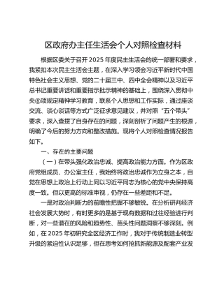 区政府办主任2025年度民主生活会个人对照检查材料