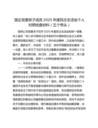 国企党委班子成员2025年度民主生活会个人对照检查材料