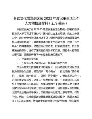 分管文化旅游副区长2025年度民主生活会个人对照检查材料