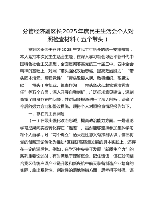 分管经济副区长2025年度民主生活会个人对照检查材料