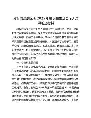 分管城建副区长2025年度民主生活会个人对照检查5700字