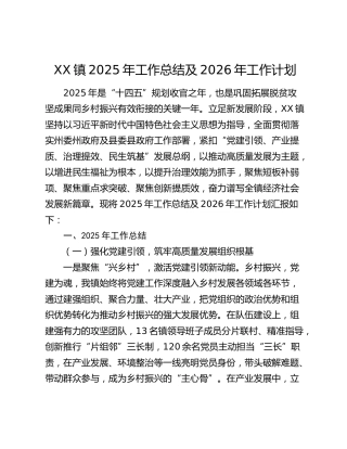 XX镇2025年工作总结及2026年工作计划
