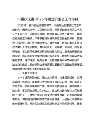 市委政法委2025年度意识形态工作总结