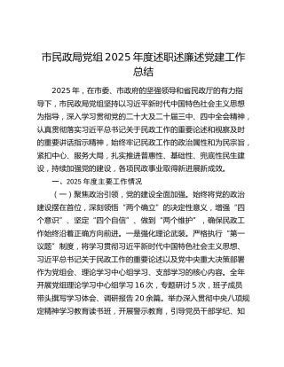 市民政局党组2025年度述职述廉述党建工作总结