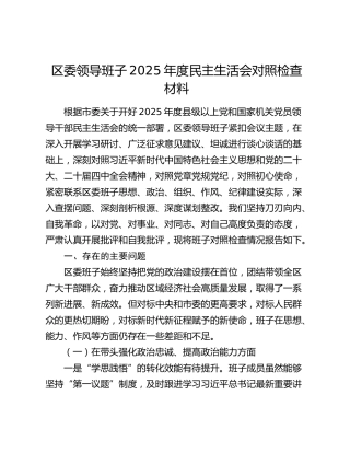 区委领导班子2025年度民主生活会对照检查材料（五个带头）