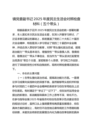 镇党委副书记2025年度民主生活会对照检查材料（五个带头）