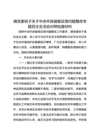 镇党委班子关于中央环保督察反馈问题整改专题民主生活会对照检查材料
