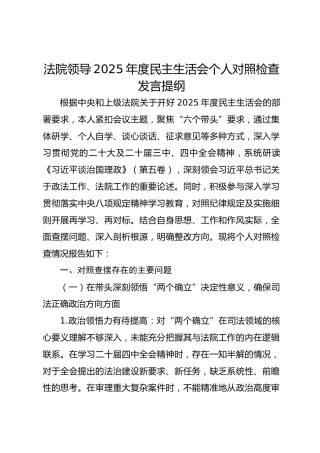 法院领导2025年度民主生活会个人对照检查发言