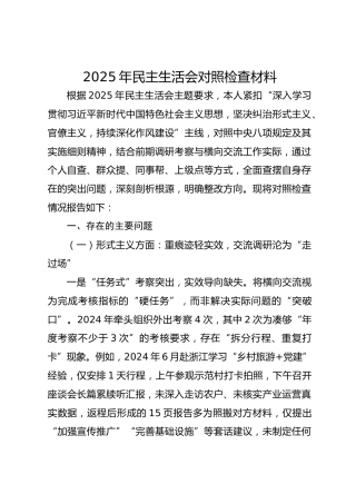 2025 年民主生活会对照检查材料