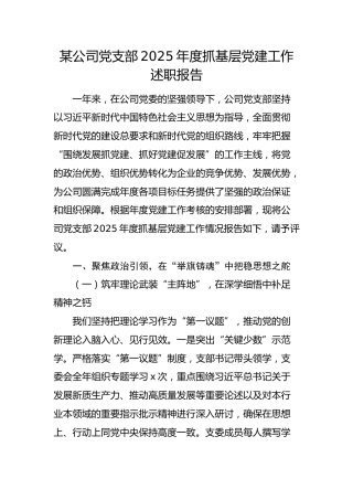 国企党支部2025年抓基层党建工作述职报告（党建总结）