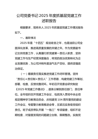 国企党委书记2025年度抓党建工作述职报告