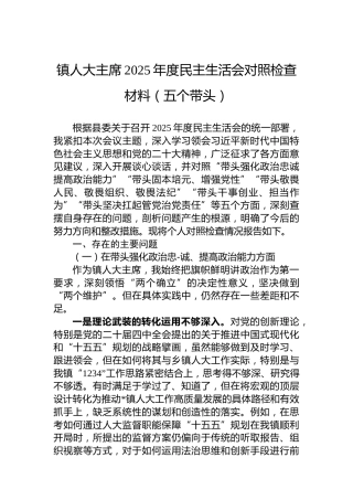镇人大主席2025年度民主生活会对照检查材料（五个带头）