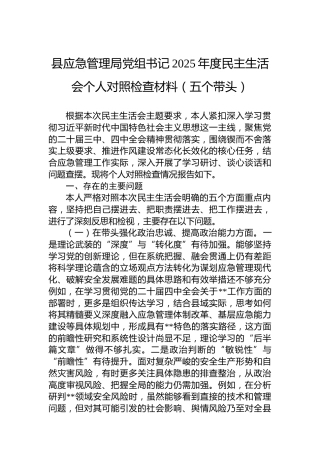 县应急管理局党组书记2025年度民主生活会个人对照检查材料（五个带头）