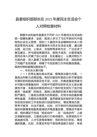 县委组织部部长在2025年度民主生活会个人对照检查材料